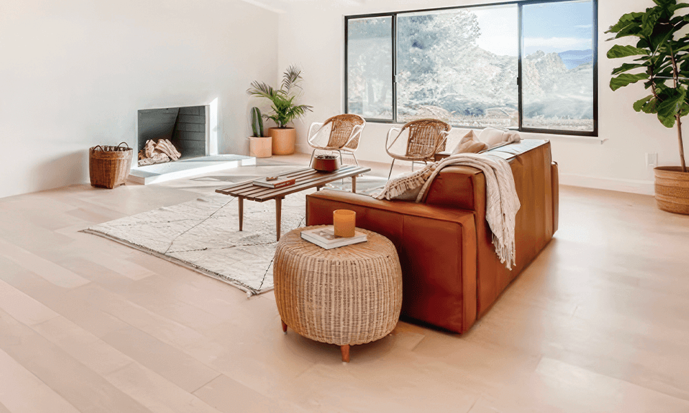 Image - Lazio Collection