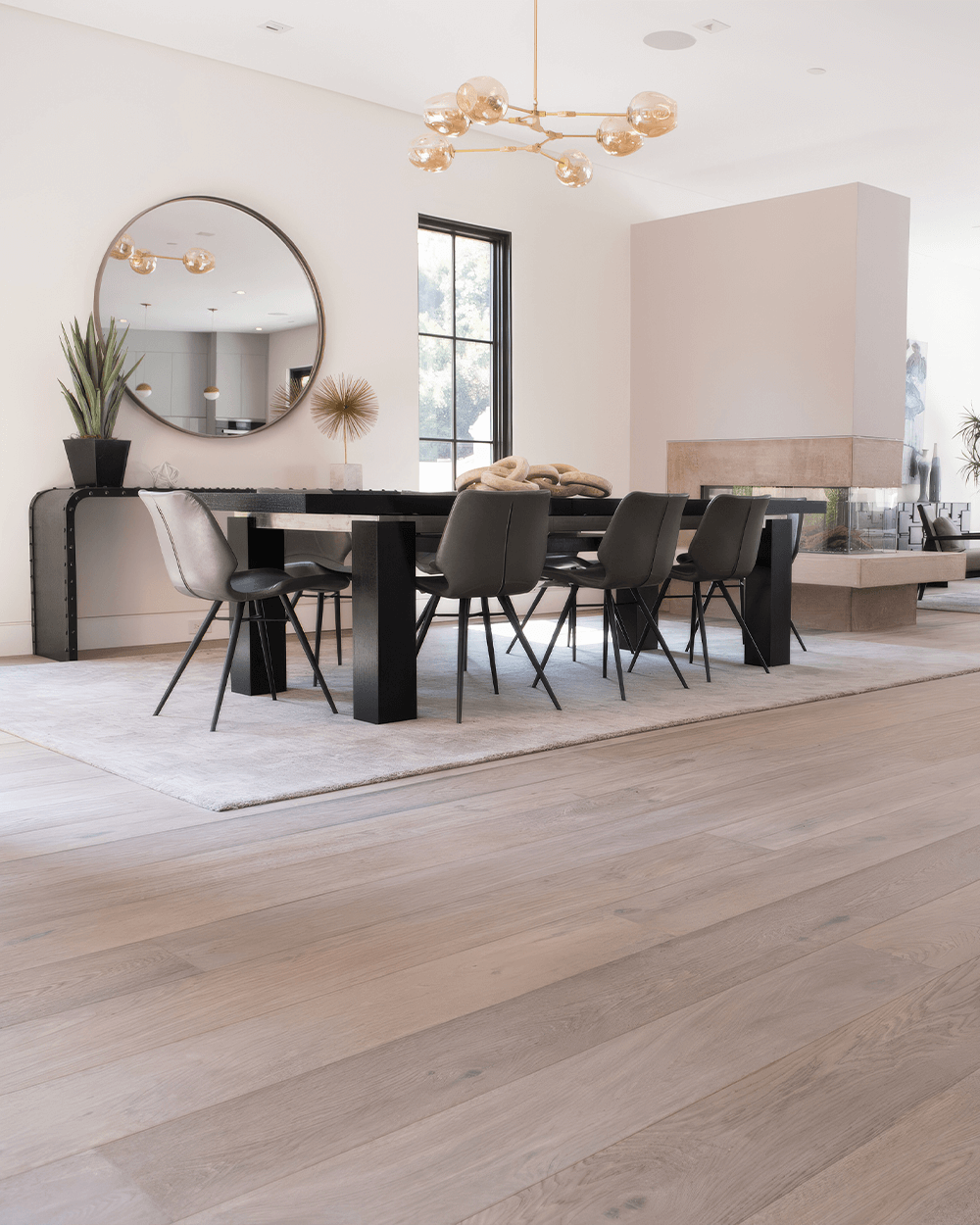 Image - Novara Collection